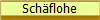 Schäflohe